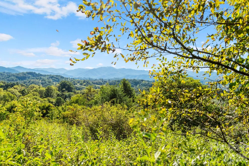 1231 Baileys Branch Road #3 Marshall, NC 28753