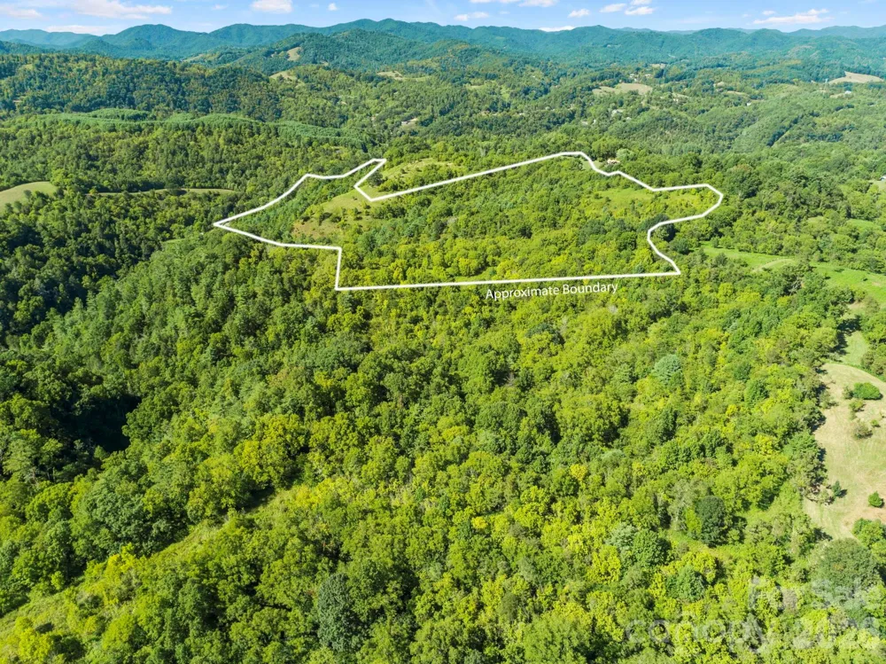 1231 Baileys Branch Road #3 Marshall, NC 28753