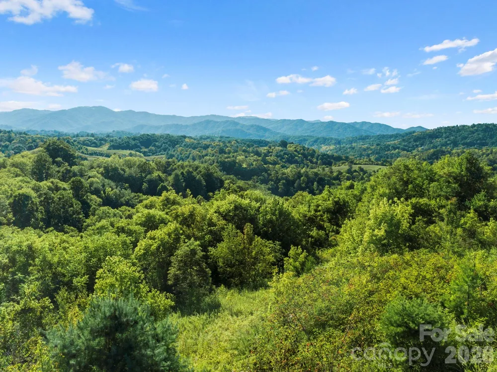 1231 Baileys Branch Road #3 Marshall, NC 28753