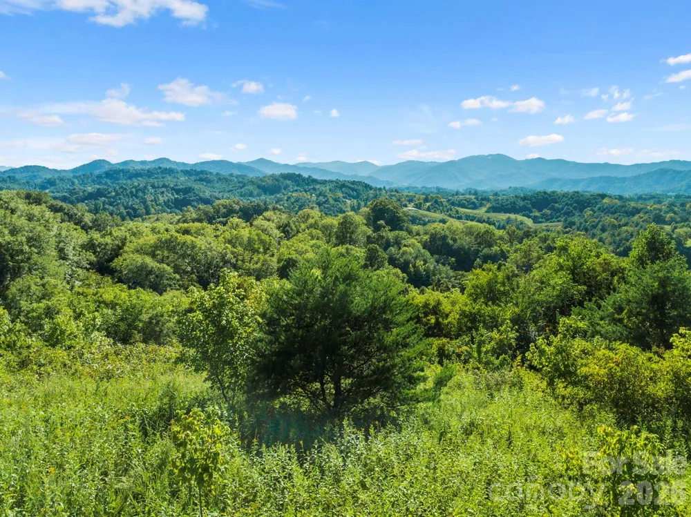 1231 Baileys Branch Road #3 Marshall, NC 28753