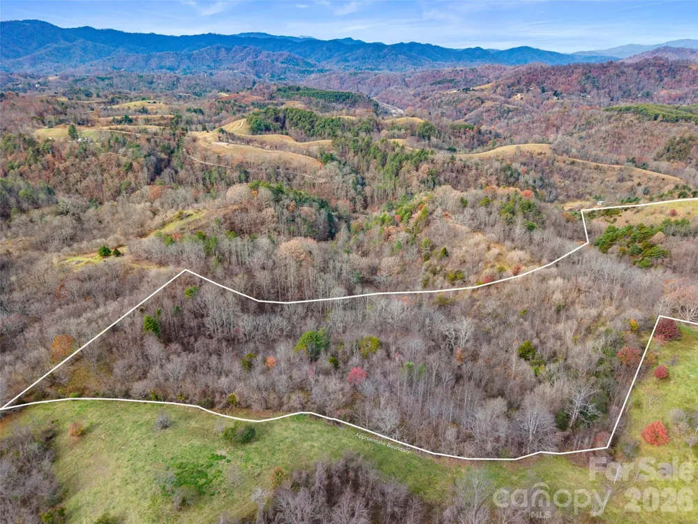 1231 Baileys Branch Road #3 Marshall, NC 28753