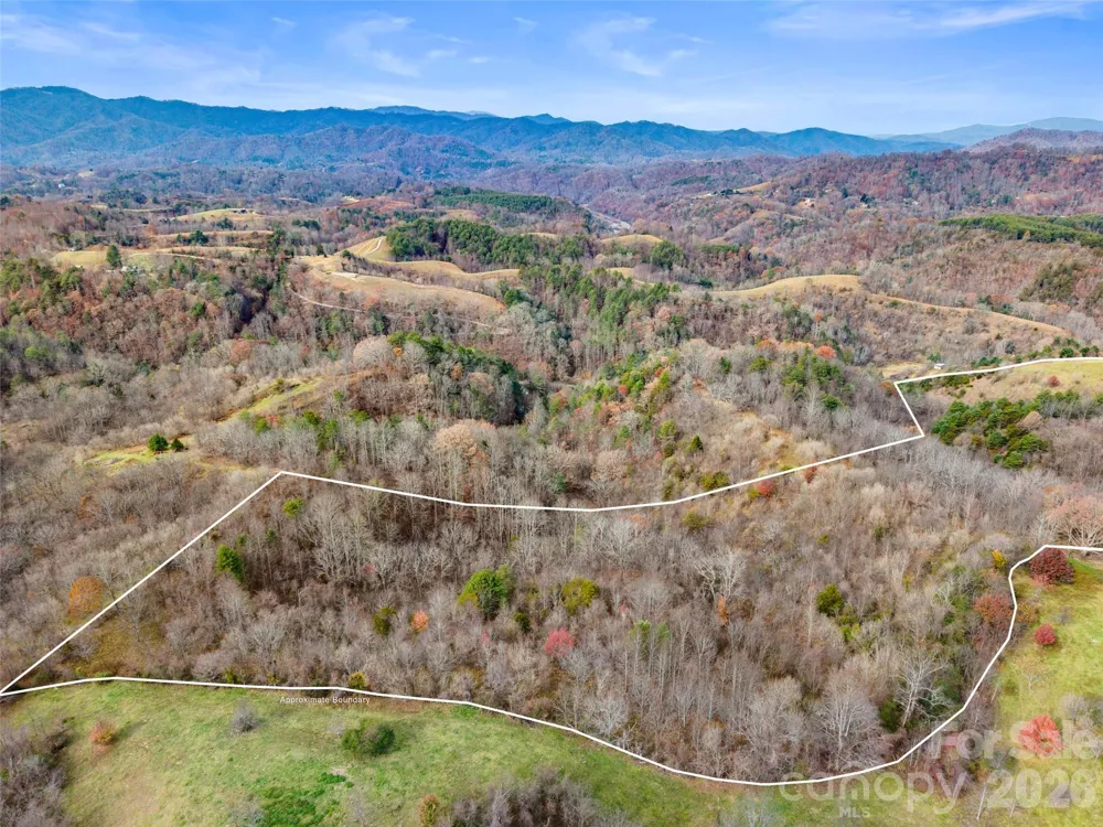1231 Baileys Branch Road #3 Marshall, NC 28753