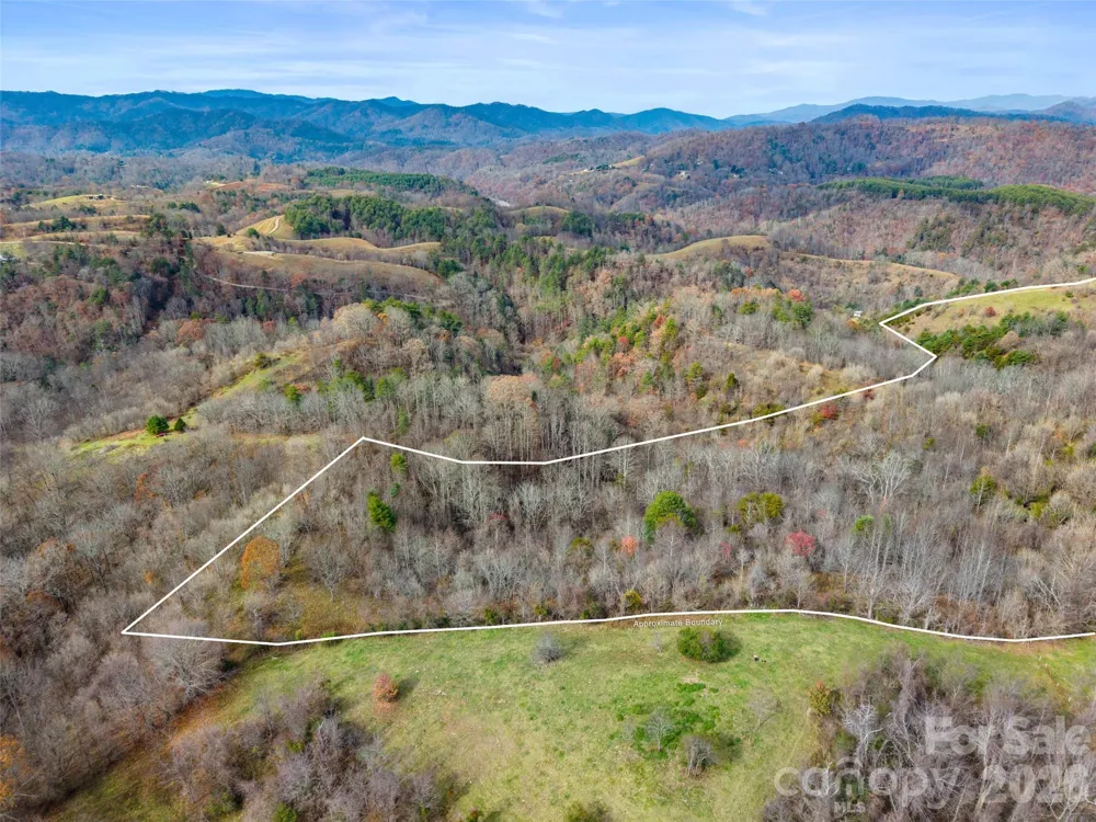 1231 Baileys Branch Road #3 Marshall, NC 28753