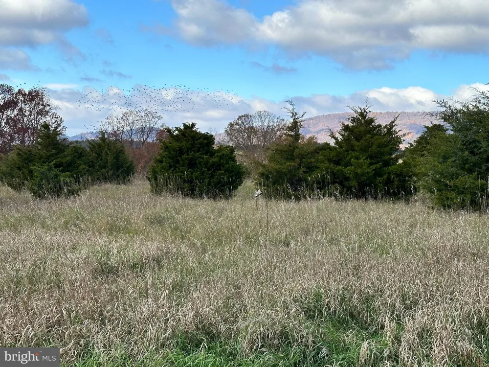 LOT 2 MARKWOOD DRIVE Keyser, WV 26726