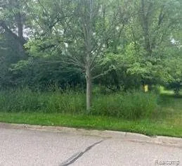 Island Flushing Charter Township, MI 48433