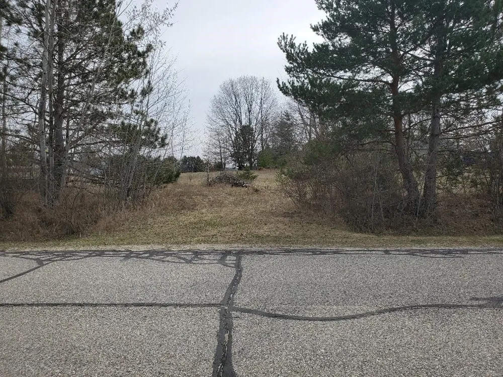 1034 Pyrenees Drive Lake Isabella Village, MI 48893