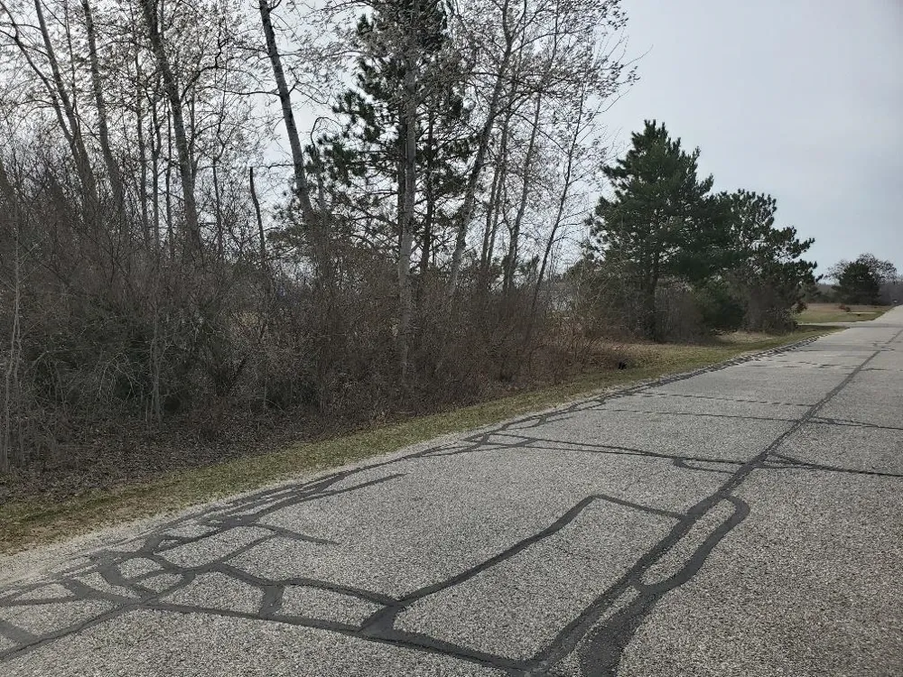 1034 Pyrenees Drive Lake Isabella Village, MI 48893