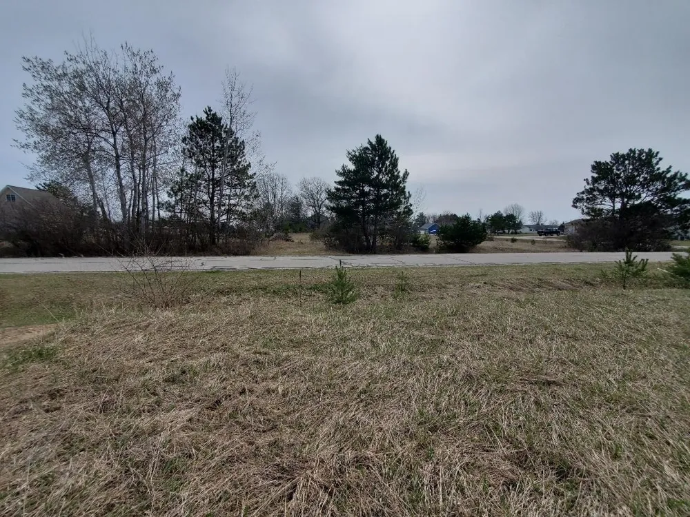 1034 Pyrenees Drive Lake Isabella Village, MI 48893