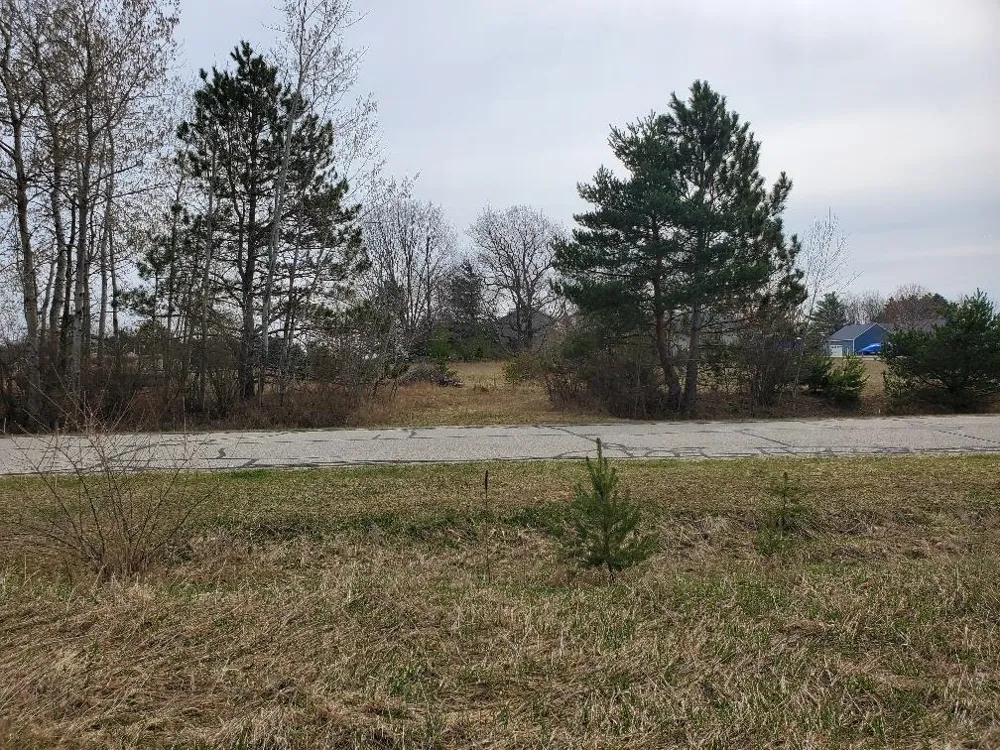 1034 Pyrenees Drive Lake Isabella Village, MI 48893