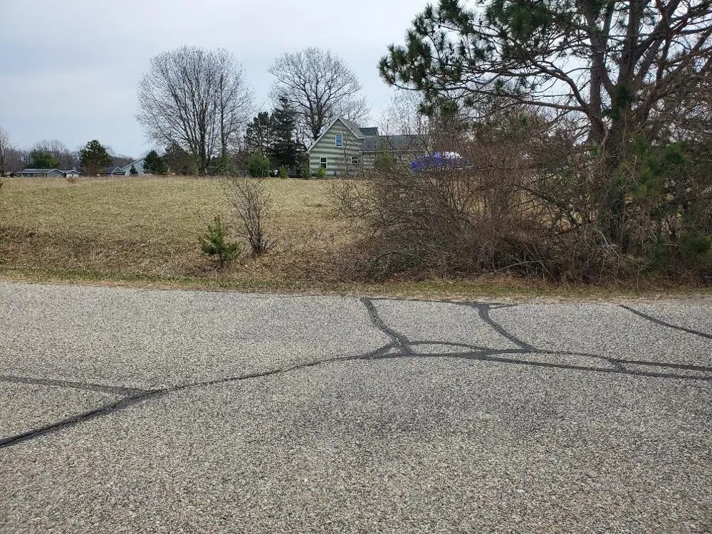 1034 Pyrenees Drive Lake Isabella Village, MI 48893