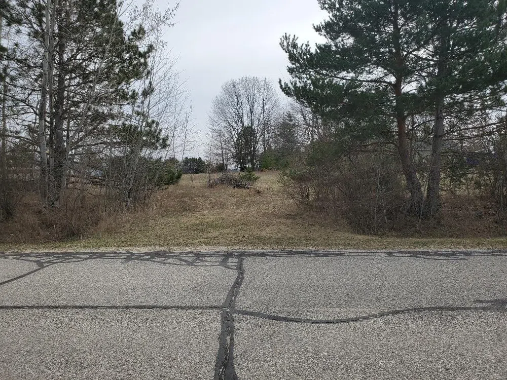 1034 Pyrenees Drive Lake Isabella Village, MI 48893