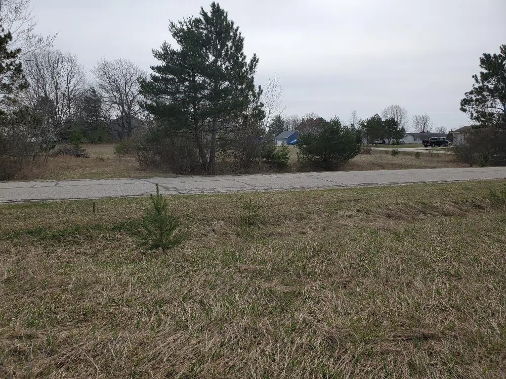 1034 Pyrenees Drive Lake Isabella Village, MI 48893