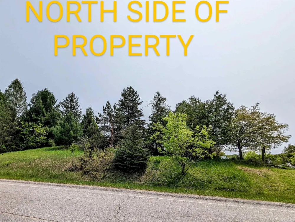 1 Fairway Court Torch Lake Township, MI 49648