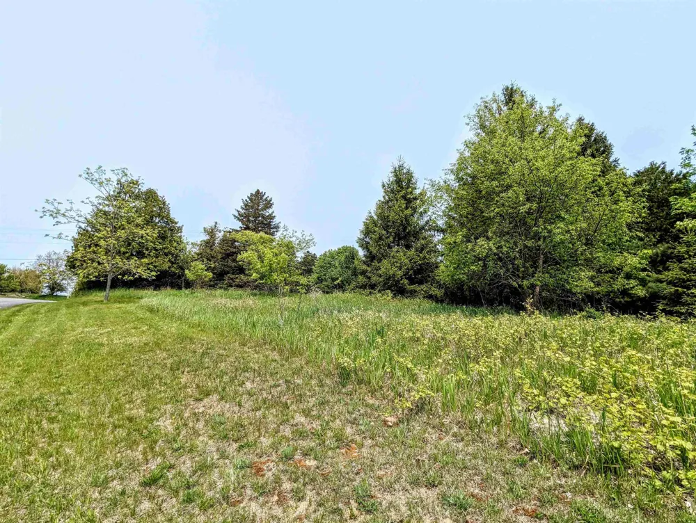 1 Fairway Court Torch Lake Township, MI 49648
