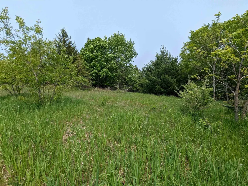 1 Fairway Court Torch Lake Township, MI 49648