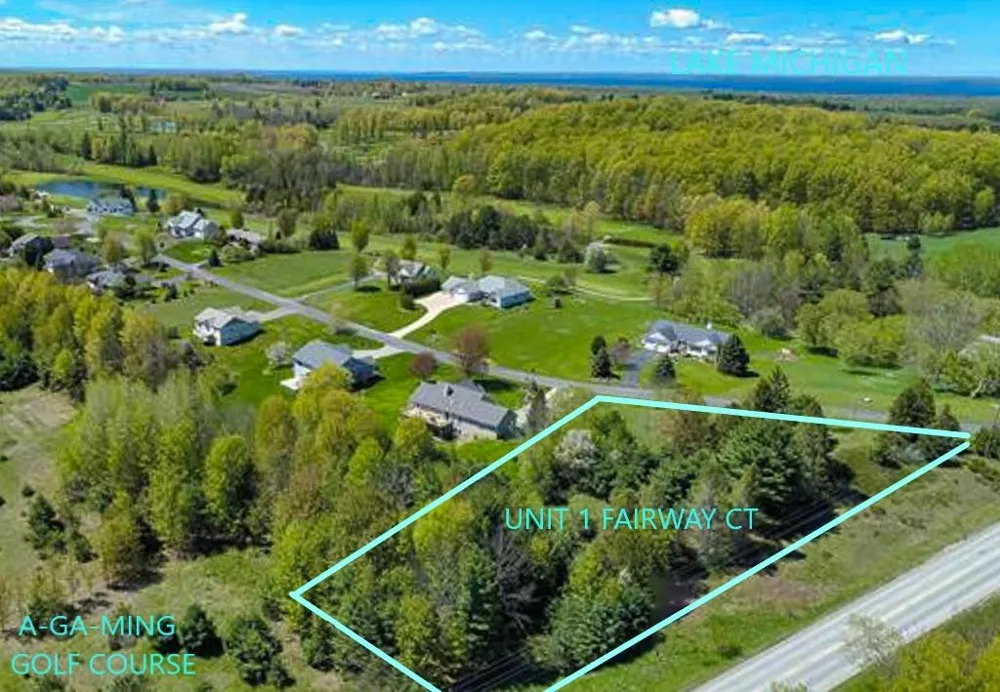 1 Fairway Court Torch Lake Township, MI 49648