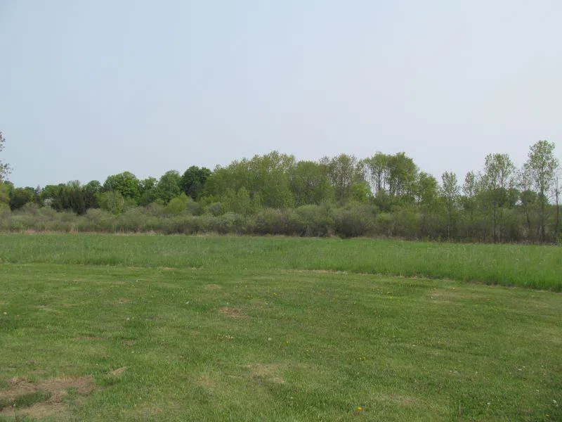 S Hemlock Street Riverside Township, MI 49657