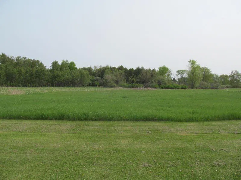 S Hemlock Street Riverside Township, MI 49657