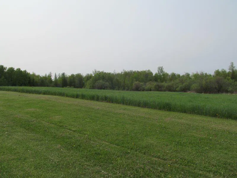 S Hemlock Street Riverside Township, MI 49657