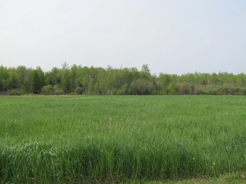S Hemlock Street Riverside Township, MI 49657