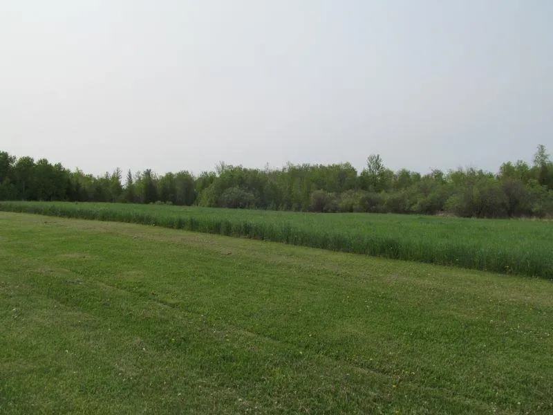 S Hemlock Street Riverside Township, MI 49657