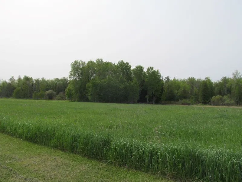 Hemlock Street Riverside Township, MI 49657