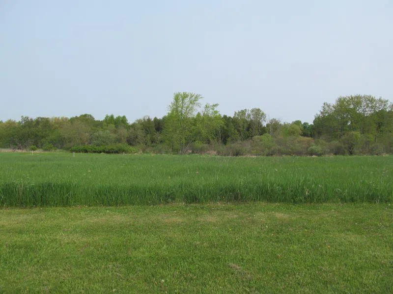 Hemlock Street Riverside Township, MI 49657