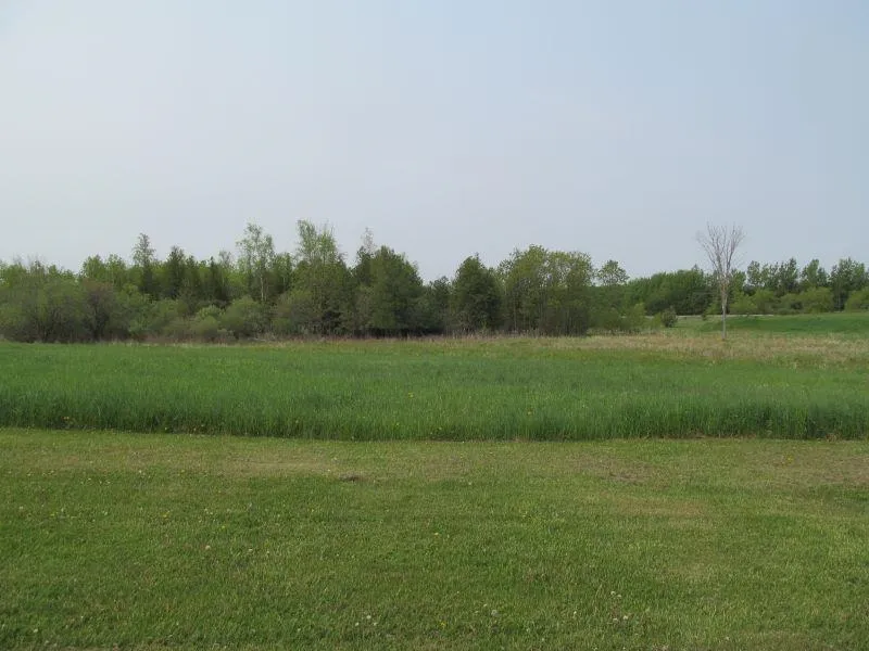 Hemlock Street Riverside Township, MI 49657