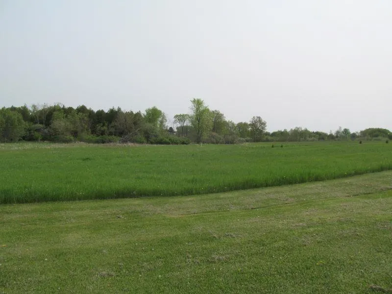 Hemlock Street Riverside Township, MI 49657