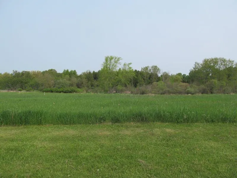 Hemlock Street Riverside Township, MI 49657