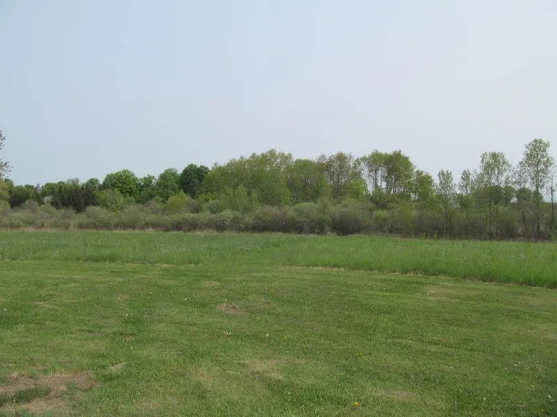 Hemlock Street Riverside Township, MI 49657