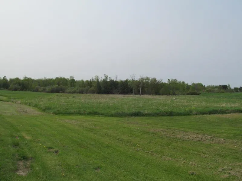 Hemlock Street Riverside Township, MI 49657