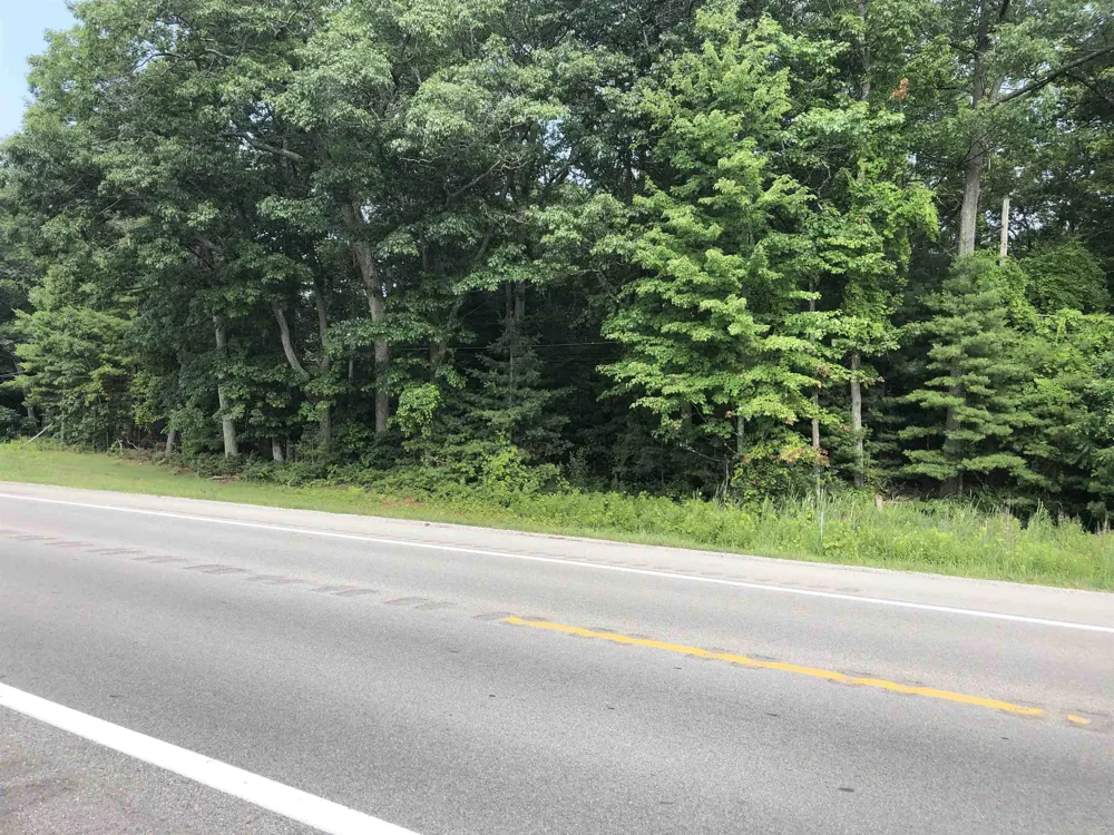 US-23 Baldwin Township, MI 48730