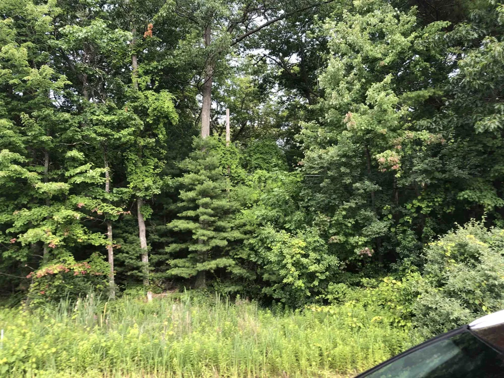 US-23 Baldwin Township, MI 48730