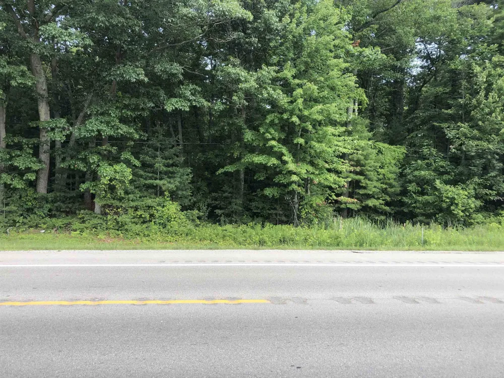 US-23 Baldwin Township, MI 48730