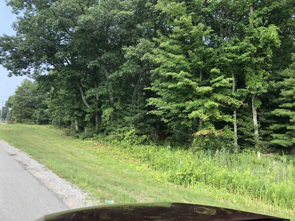 US-23 Baldwin Township, MI 48730