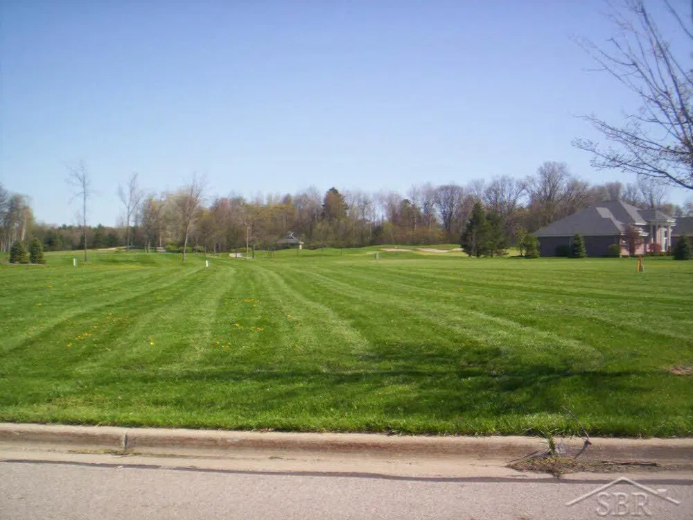 E Grove Court Thomas Township, MI 48623