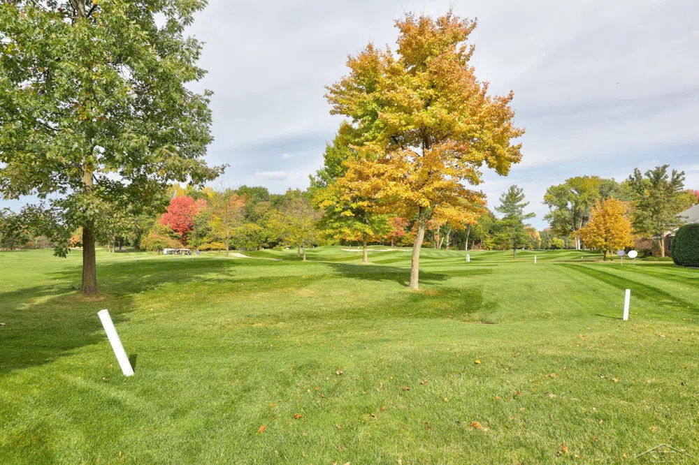 E Grove Court Thomas Township, MI 48623