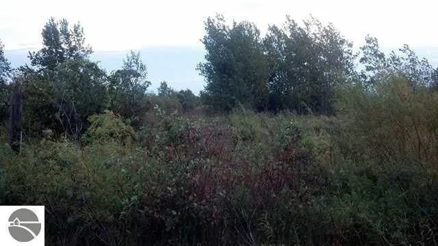 S Court Street Au Gres Township, MI 48703