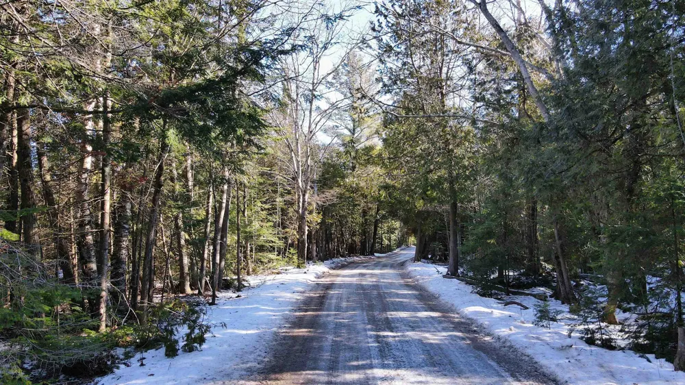 Cathead Bay Drive Leelanau Township, MI 49670