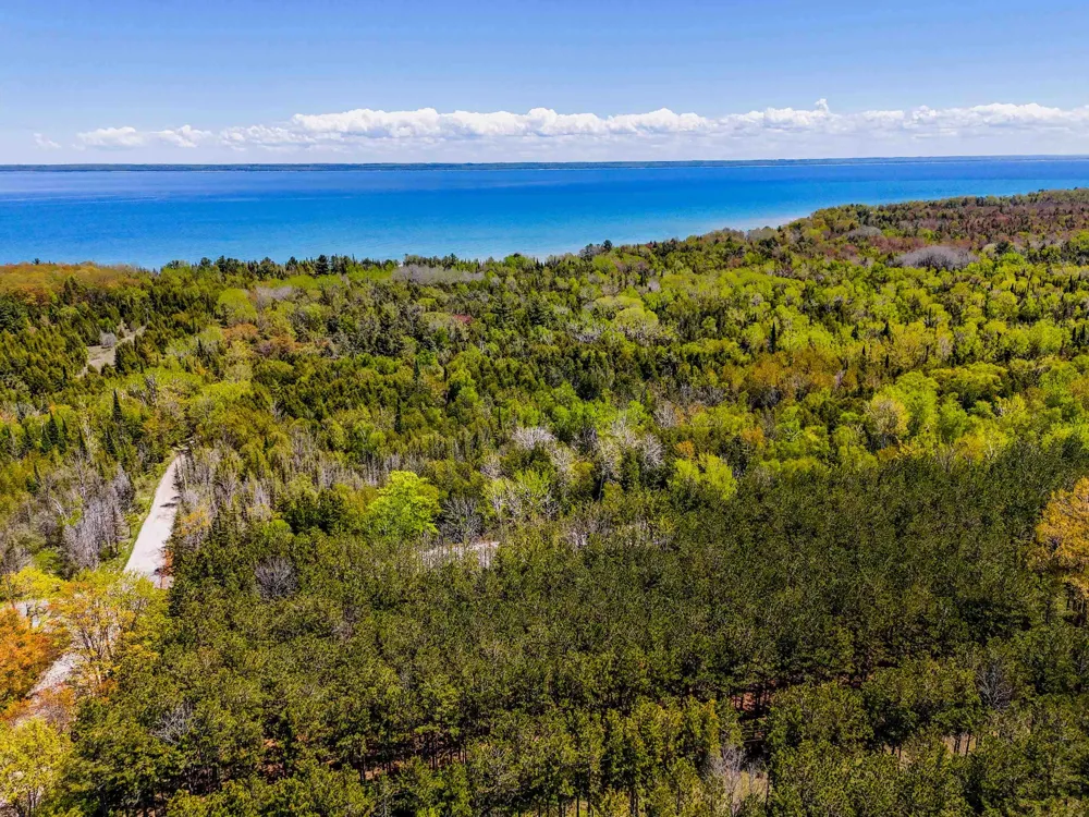 Cathead Bay Drive Leelanau Township, MI 49670
