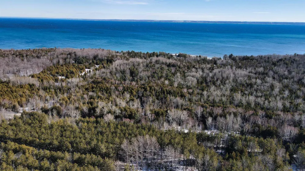 Cathead Bay Drive Leelanau Township, MI 49670