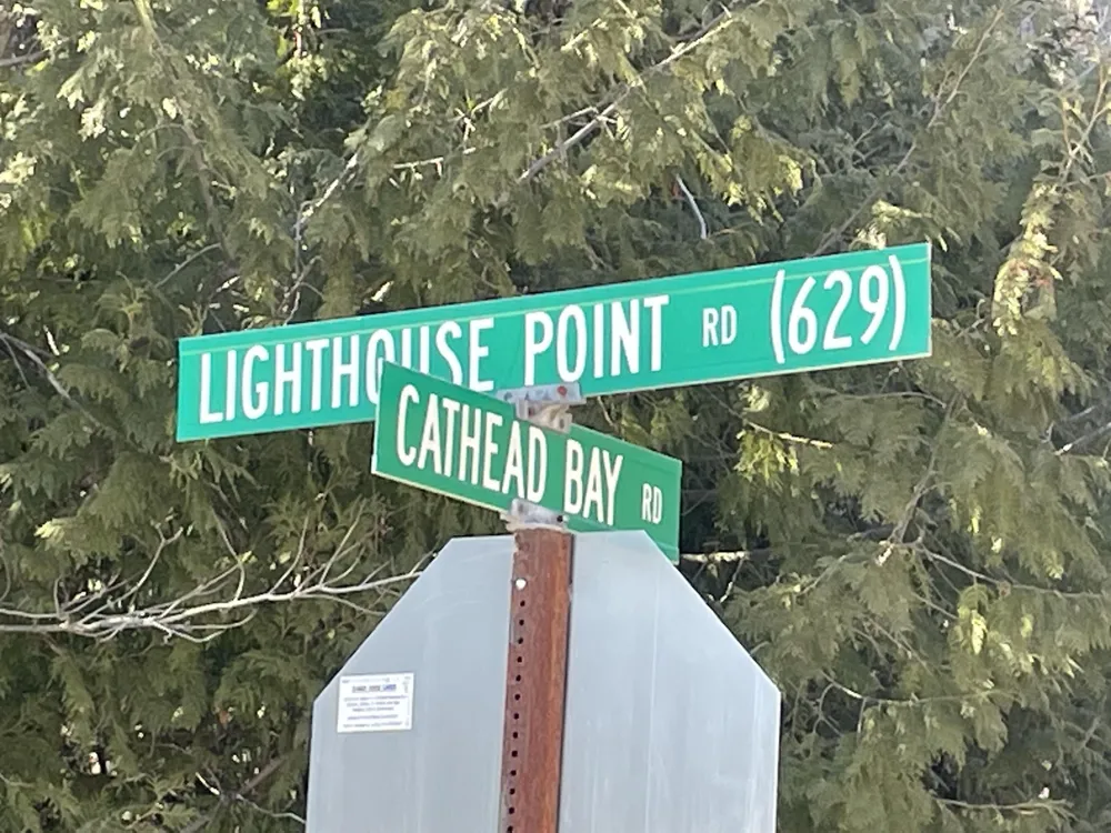 Cathead Bay Drive Leelanau Township, MI 49670