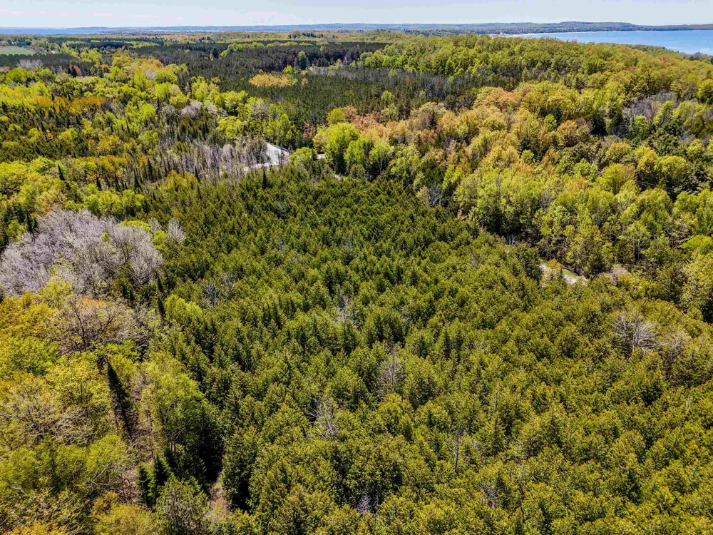 Cathead Bay Drive Leelanau Township, MI 49670