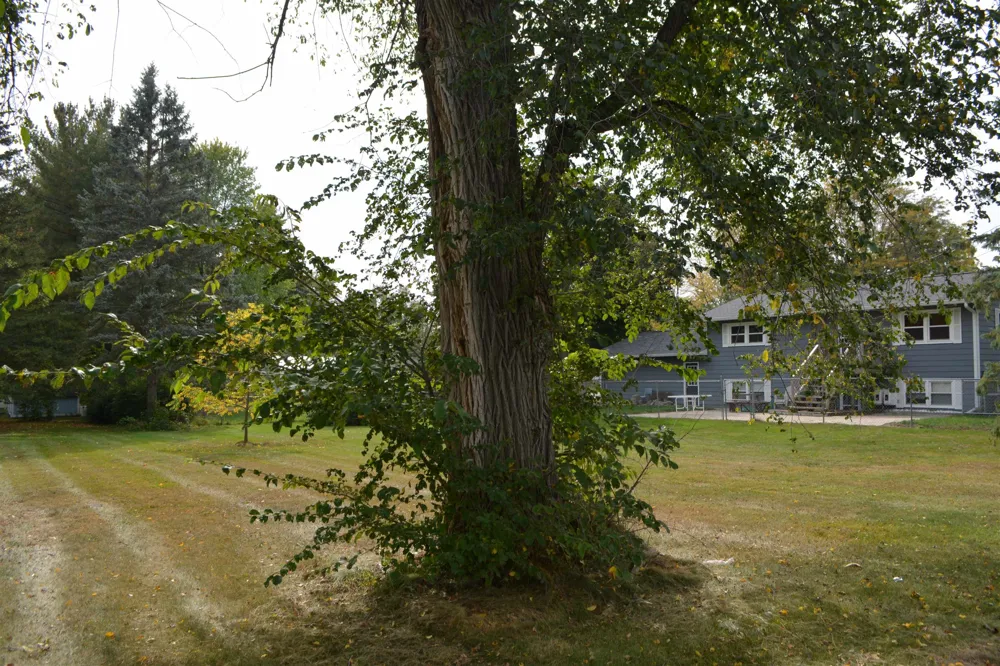 E Pickard Road Mt Pleasant City, MI 48858