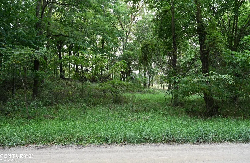 Gale Road Bennington Township, MI 48857