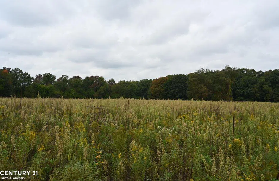 Gale Road Bennington Township, MI 48857
