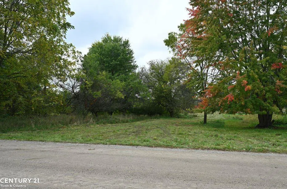 Gale Road Bennington Township, MI 48857