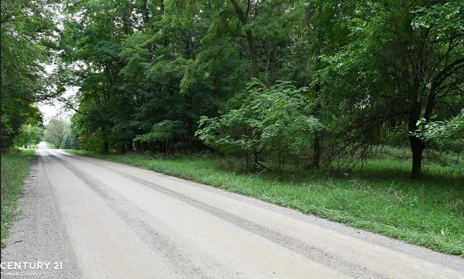 Gale Road Bennington Township, MI 48857
