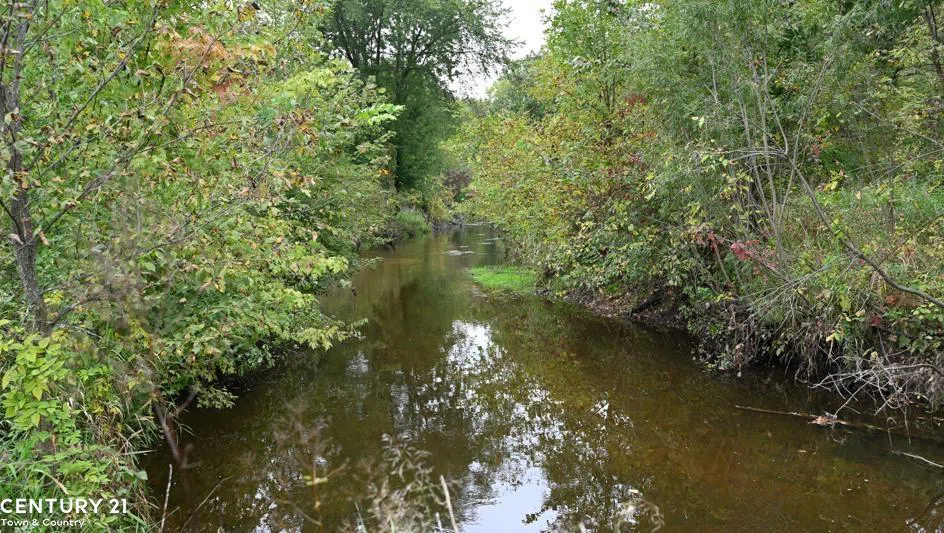 Gale Road Bennington Township, MI 48857